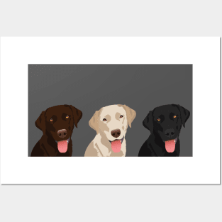 Three Adorable Labradors Posters and Art